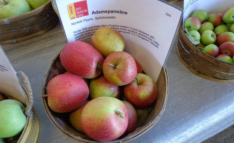 Obstsortenausstellung Tickets
