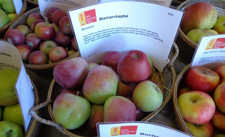 Obstsortenausstellung Tickets