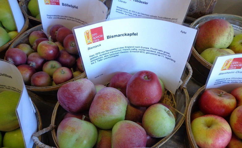 Obstsortenausstellung Tickets