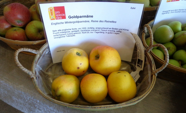 Obstsortenausstellung Tickets