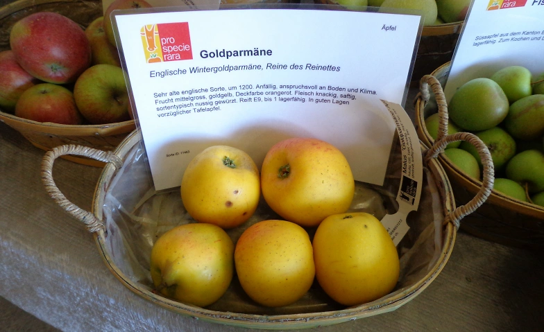 Obstsortenausstellung Tickets