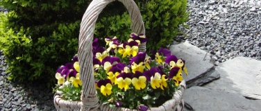 Event-Image for 'Ankommen im Hier & Jetzt'