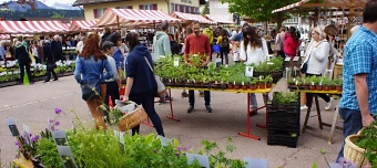 Organisateur de Entlebucher Kräuter- und Wildpflanzenmarkt