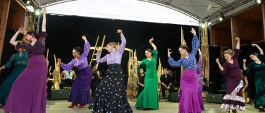 Event-Image for 'Noche Flamenca 2026'