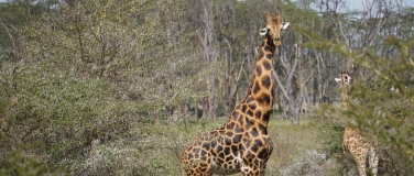 Event-Image for 'Meraki Reisequiz-Morgen'