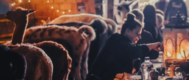Event-Image for 'Fondue inmitten Alpakas'