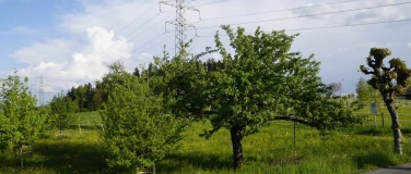 Event-Image for 'Rundweg im Gr&uuml;t'