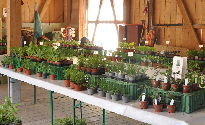 Event-Image for 'Setzlingsmarkt 2026'