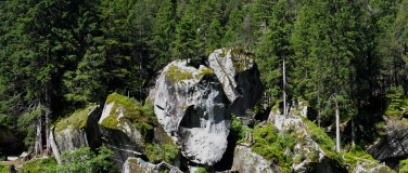 Event-Image for 'Natur & Kunst erleben: Land Art im Bergsturzgebiet Goldau'