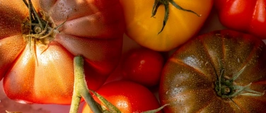 Event-Image for 'Tomatenkochkurs'