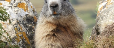 Event-Image for 'Vernissage Monika Wasser - Fotografie'