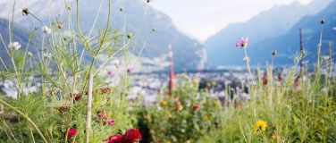 Event-Image for 'Gartenwelt – ökologische Vielfalt'