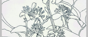 Event-Image for 'Duftorte'