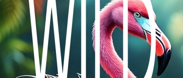 Event-Image for 'Wild Card'