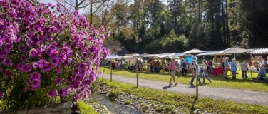 Event-Image for 'Herbstmarkt'