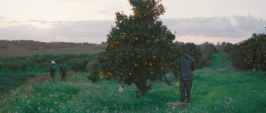 Event-Image for 'Arance Amare &ndash; moderne Sklaverei in Europa'