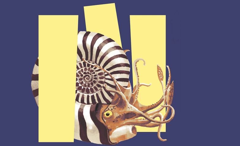 Event-Image for 'Sonntagsf&uuml;hrungen: &laquo;Unsichtbar? Tiere im Verborgenen&raquo;'