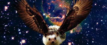 Event-Image for '10 Jahre Eagel Slam 1000'