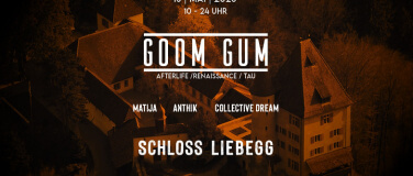 Event-Image for 'Techno im Schloss Liebegg'