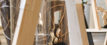 Event-Image for 'Eichhörnchen - Familiensonntag'