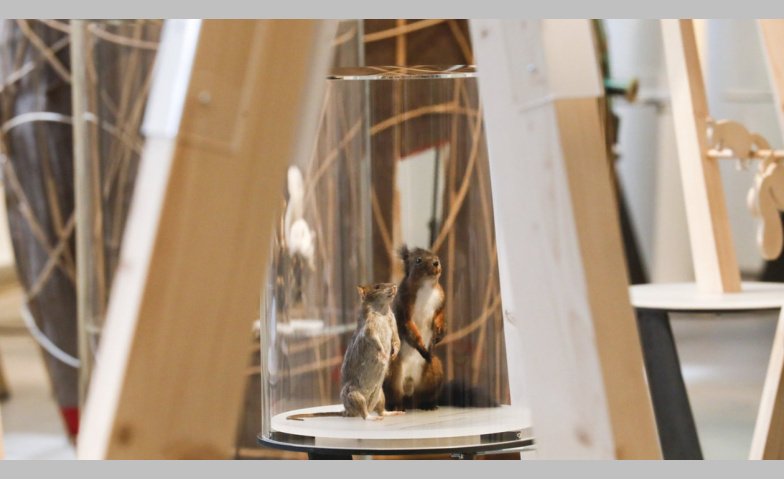 Event-Image for 'Eichh&ouml;rnchen - Familiensonntag'