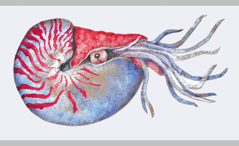 Event-Image for 'Einblicke in der Eintracht – Ausstellung lll'