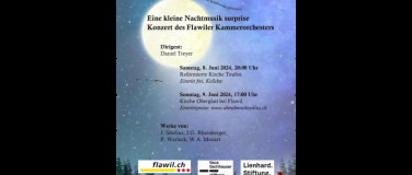 Event-Image for 'Eine kleine Nachtmusik surprise'