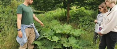 Event-Image for 'Widkr&auml;uter - Einf&uuml;hrungsseminar Hamburg'