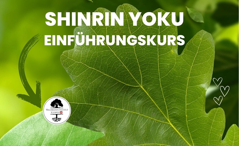 Einführungskurs Shinrin Yoku / Waldbaden