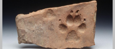 Event-Image for 'Ein Griff in die archäologische Geschichtenkiste – Bauen und'