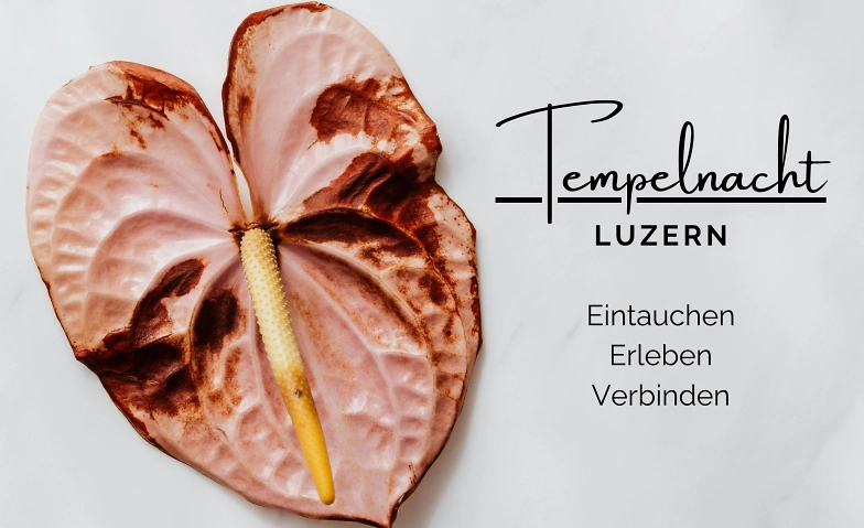 Templenight - ein Raum der Sinnlichkeit