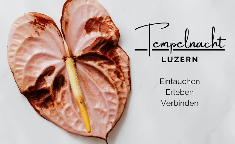 Templenight - ein Raum der Sinnlichkeit