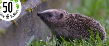 Event-Image for 'Ein Zuhause f&uuml;r den Igel'