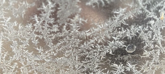 Veranstalter:in von Eisblumen 2025 - Ein ungewöhnlicher Adventskalender