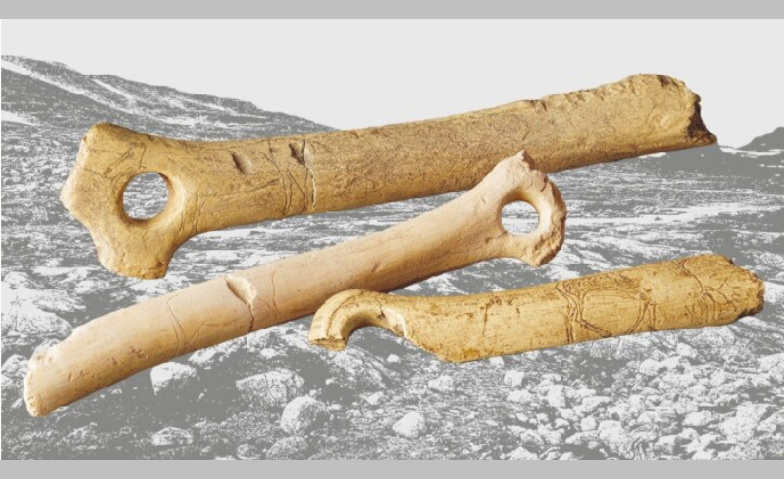 Event-Image for 'Eiszeit. Leben vor 17000 Jahren'