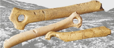 Event-Image for 'Eiszeit. Leben vor 17000 Jahren'