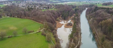 Event-Image for 'Spechte, Wasserv&ouml;gel & Fr&uuml;hjahrsstimmung an der Aare'
