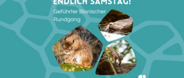 Event-Image for 'Endlich Samstag! Bionische Führung durch den Tiergarten'