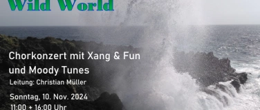 Event-Image for 'Wild World! Konzert mit Xang & Fun und Moody Tunes'