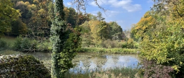 Event-Image for 'F&uuml;hrung Ermitage mit Pflanzenkunde'