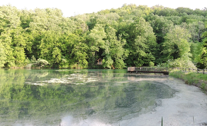 Event-Image for 'F&uuml;hrungen durch die Ermitage'