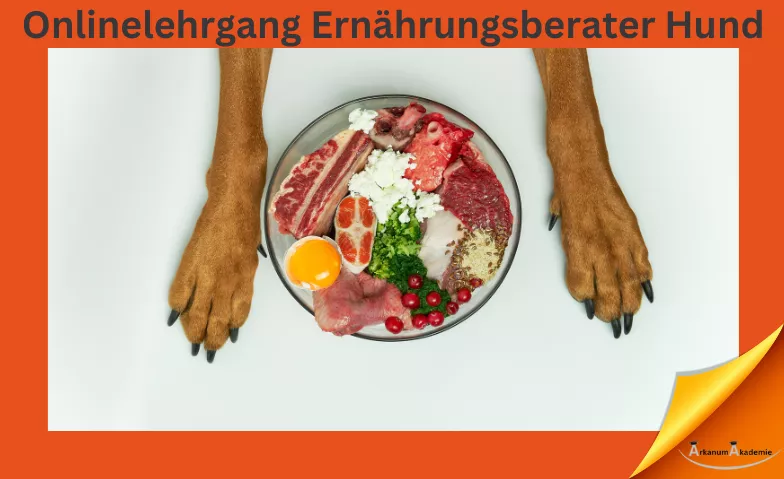 E-Learning-Kurs zum Hundeernährungsberater ArkanumAkademie, Oberrindal 39, 9604 Oberrindal Tickets