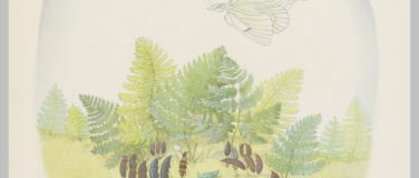 Event-Image for 'Ernst Kreidolf und der Kreislauf des Lebens'