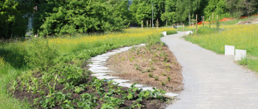 Event-Image for 'Eröffnung "Essbarer Park Stephanshorn"'