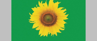 Event-Image for 'Eröffnung Hof Kraftfeld'