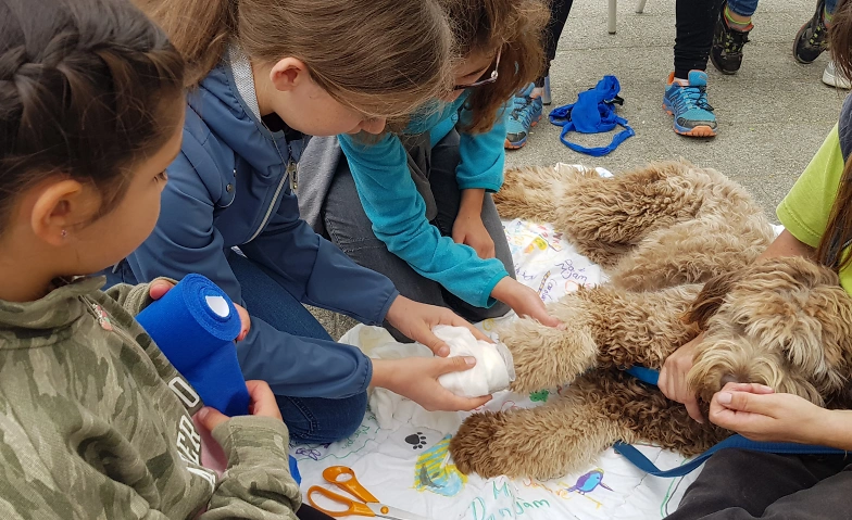 Event-Image for '1. Hilfe für Tiere'