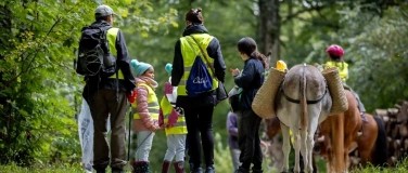 Event-Image for 'Active City: Eselspaziergang'