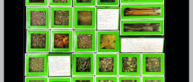 Event-Image for 'Es t&ouml;kterlet e bitzli - Die Drogensammlung von Paul Schaad'