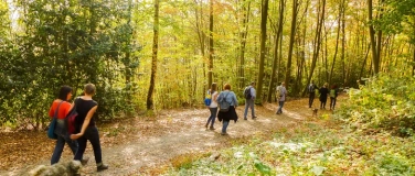 Event-Image for 'Singlewanderung Bodensee: Gehautobel/Meersburg (55+ J.)'