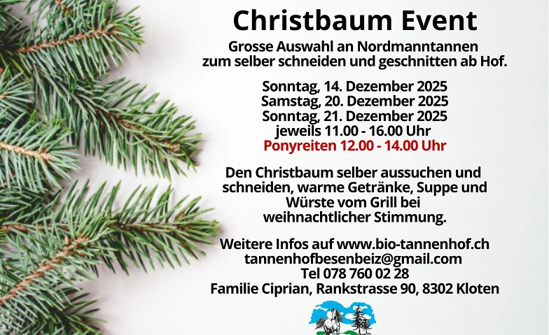Event-Image for 'Christbaum Event mit Ponyreiten'